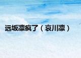 遠(yuǎn)坂凜瘋了（哀川凜）