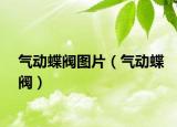 氣動蝶閥圖片（氣動蝶閥）