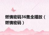燃情密碼36集全播放（燃情密碼）