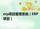 erp項目管理系統(tǒng)（ERP項目）