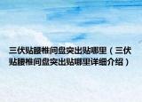 三伏貼腰椎間盤突出貼哪里（三伏貼腰椎間盤突出貼哪里詳細介紹）