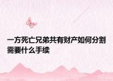 一方死亡兄弟共有財產(chǎn)如何分割需要什么手續(xù)