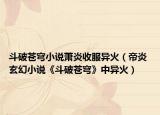 斗破蒼穹小說(shuō)蕭炎收服異火（帝炎 玄幻小說(shuō)《斗破蒼穹》中異火）