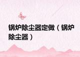 鍋爐除塵器定做（鍋爐除塵器）