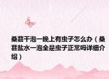 桑葚干泡一晚上有蟲子怎么辦（桑葚鹽水一泡全是蟲子正常嗎詳細介紹）