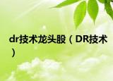 dr技術(shù)龍頭股（DR技術(shù)）