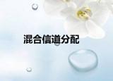 混合信道分配