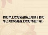 枸杞早上吃好還是晚上吃好（枸杞早上吃好還是晚上吃好詳細(xì)介紹）