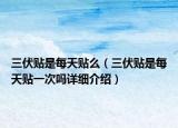 三伏貼是每天貼么（三伏貼是每天貼一次嗎詳細(xì)介紹）