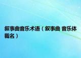 敘事曲音樂(lè)術(shù)語(yǔ)（敘事曲 音樂(lè)體裁名）