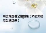 萌妻難逃老公悄悄來（嬌妻太萌老公別過來）