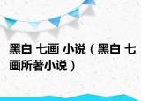 黑白 七畫 小說（黑白 七畫所著小說）