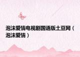 泡沫愛情電視劇國語版土豆網(wǎng)（泡沫愛情）