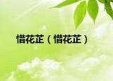 惜花芷（惜花芷）