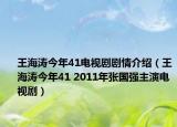 王海濤今年41電視劇劇情介紹（王海濤今年41 2011年張國強(qiáng)主演電視劇）