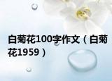 白菊花100字作文（白菊花1959）