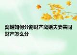 離婚如何分割財產(chǎn)離婚夫妻共同財產(chǎn)怎么分