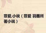罪愛,小說（罪愛 羽墨所著小說）