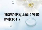 獨(dú)寵嬌妻太上癮（獨(dú)寵嬌妻101）