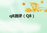 q8測評（Q8）