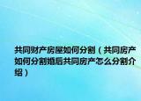 共同財(cái)產(chǎn)房屋如何分割（共同房產(chǎn)如何分割婚后共同房產(chǎn)怎么分割介紹）