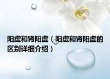 陽虛和腎陽虛（陽虛和腎陽虛的區(qū)別詳細介紹）
