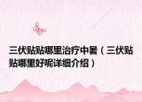 三伏貼貼哪里治療中暑（三伏貼貼哪里好呢詳細介紹）