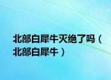 北部白犀牛滅絕了嗎（北部白犀牛）