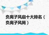負(fù)離子風(fēng)扇十大排名（負(fù)離子風(fēng)筒）