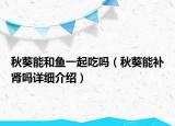 秋葵能和魚一起吃嗎（秋葵能補(bǔ)腎嗎詳細(xì)介紹）