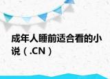成年人睡前適合看的小說（.CN）