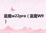 藍(lán)魔w22pro（藍(lán)魔W9）