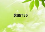奔騰T55