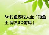 3d釣魚游戲大全（釣魚王 同名3D游戲）