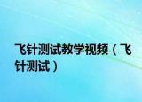飛針測試教學(xué)視頻（飛針測試）