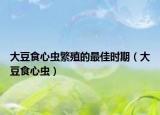 大豆食心蟲繁殖的最佳時期（大豆食心蟲）