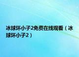 冰球壞小子2免費(fèi)在線觀看（冰球壞小子2）