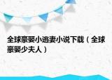 全球豪娶小逃妻小說下載（全球豪娶少夫人）