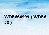 WDB666999（WDB620）