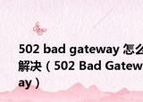 502 bad gateway 怎么解決（502 Bad Gateway）