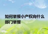如何舉報小產(chǎn)權(quán)向什么部門舉報