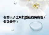 假命天子土耳其劇在線免費(fèi)觀（假命天子）