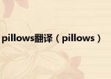 pillows翻譯（pillows）