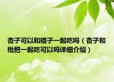 杏子可以和橘子一起吃嗎（杏子和枇杷一起吃可以嗎詳細(xì)介紹）