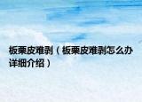 板栗皮難剝（板栗皮難剝?cè)趺崔k詳細(xì)介紹）