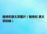 楊貴妃唐太宗圖片（楊貴妃 唐太宗妃嬪）
