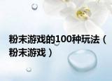 粉末游戲的100種玩法（粉末游戲）