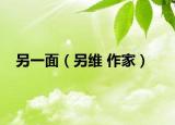 另一面（另維 作家）