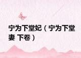 寧為下堂妃（寧為下堂妻 下卷）