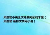 鳳凰劫小說全文免費(fèi)閱讀花半里（鳳凰劫 若初文學(xué)網(wǎng)小說）